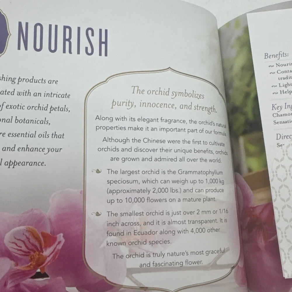 YOUNG LIVING ESSENTIAL OILS Beauty School BEAUTY ESSENTIALS 2018 Book w/ Sleeve